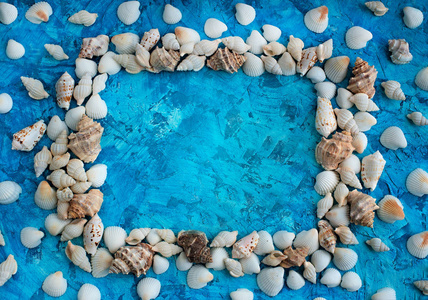 蓝色背景上的海贝壳装饰安排