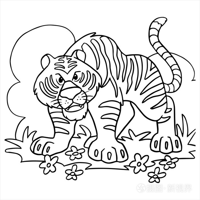 老虎卡通插图上白色孤立