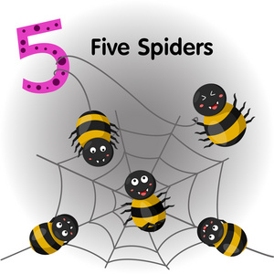 五号蜘蛛的插画