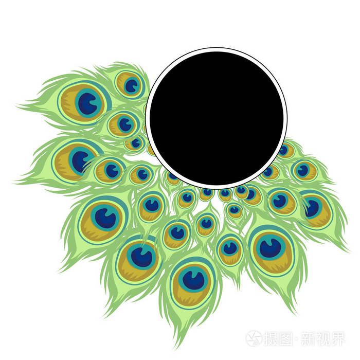 孔雀羽毛的圆的花圈与黑框架为文本.白色背景下卡通风格的矢量插图