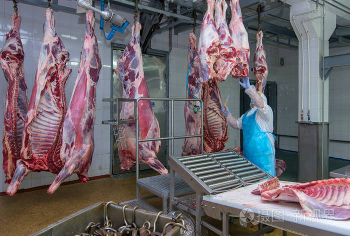 在肉厂切割肉类屠宰工人