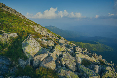 在阿尔卑斯山以鲜绿的草地田园景观