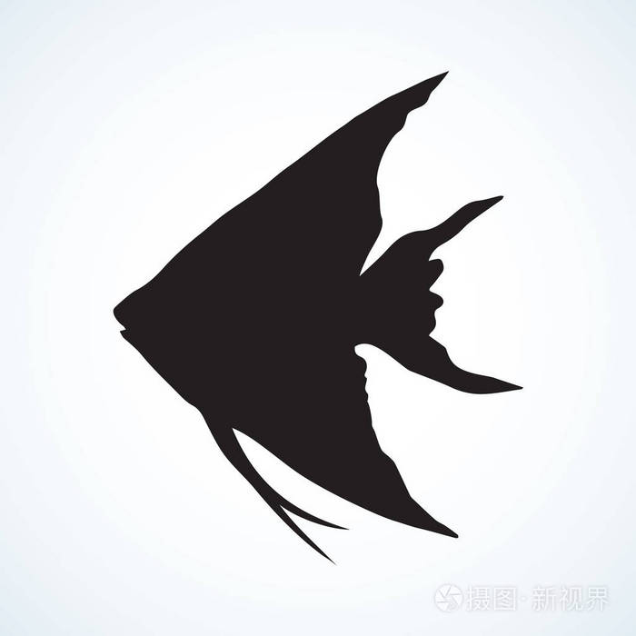 三角形的鱼.矢量绘图