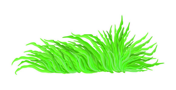 藻类矢量符号图标设计。孤立的美丽图