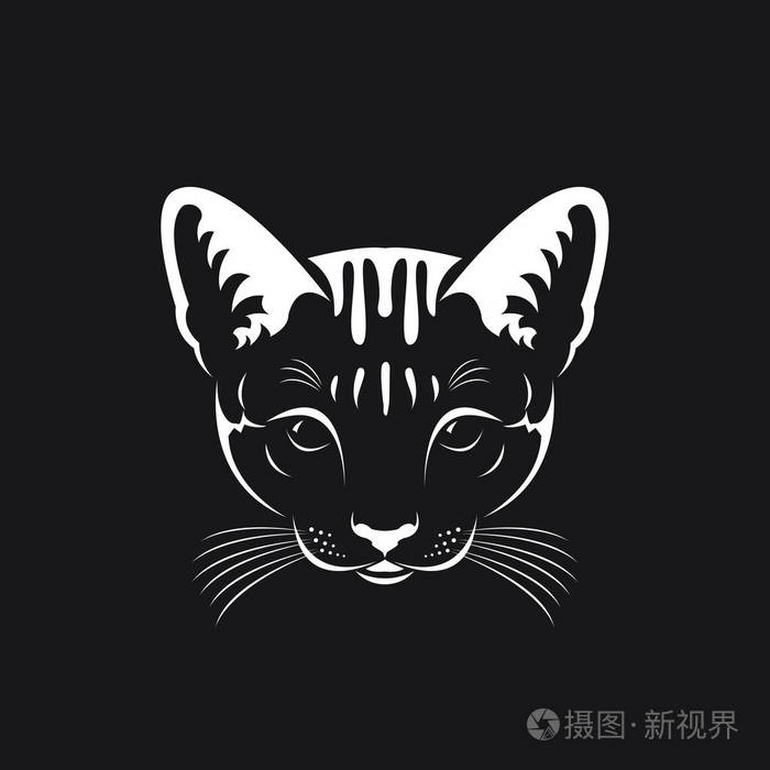 向量的黑色背景彼前动物猫脸