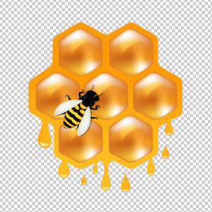 蜂巢的蜜蜂渐变网格