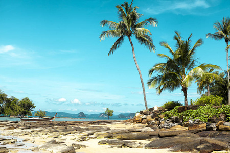 与椰子棕榈树海滩。泰国的岛屿