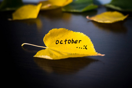 铭文落在黄色的落叶的秋天的概念