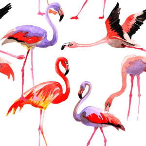 野生动物的水彩风格天空鸟火烈鸟模式