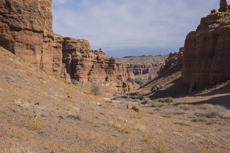 恰在阿拉木图地区的 Kazakhstan.Beautiful 山的峡谷