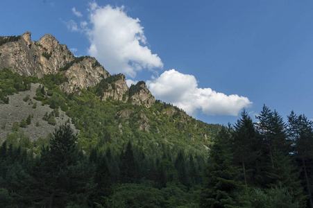 鹰的岩石长满了针叶森林和林间空地的里拉山的山顶上