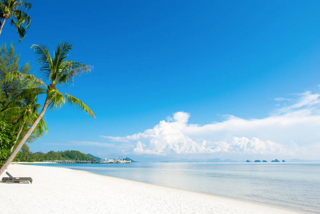 美丽的白色沙滩与椰子棕榈树