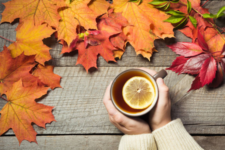 喝杯茶的手里的柠檬，色彩鲜艳的秋叶在木板上。秋季静物，复古。顶视图
