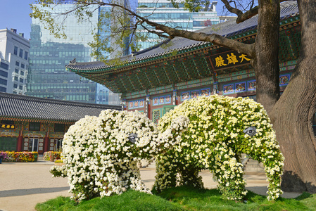 传统与现代的建筑，在首尔，韩国