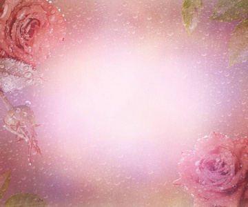 背景与玫瑰花和雨丝滴在粉红色的颜色