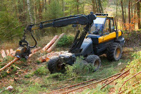 与现代收割机工作在森林里伐木工人