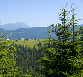 山夏天风景