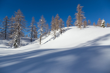 傅高义滑雪中心 Julian 阿尔卑斯山区附近的冬季景观