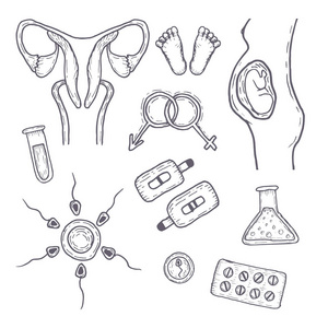 一套关于人工受精和怀孕的主题图标