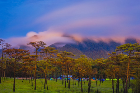 雾和云与阳光以上山