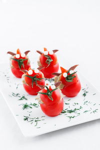 许多小西红柿酿茄子芭芭卡奴士