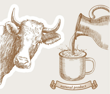牛和天然牛奶图片