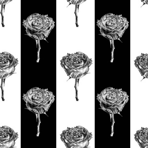 玫瑰花朵与黑色的条纹矢量无缝模式
