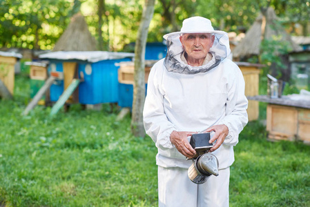 在他的养蜂场工作的高级养蜂人
