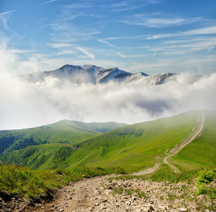 山景观