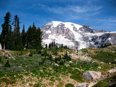 雷尼尔山