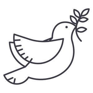白鸽，和平矢量线图标 标志 插图背景，可编辑笔触