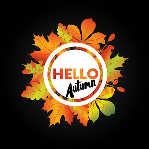 秋季销售传单模板与刻字。明亮的落叶。一张明信片或海报矢量图