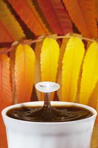 秋天时溅起水花的牛奶咖啡图片