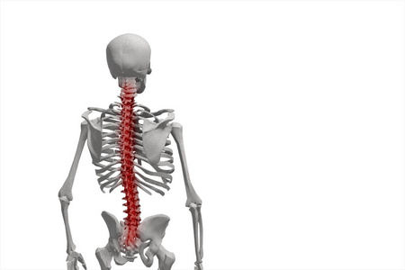 人类的骨架，插图的脊柱，腰痛上白色背景 3d 图孤立