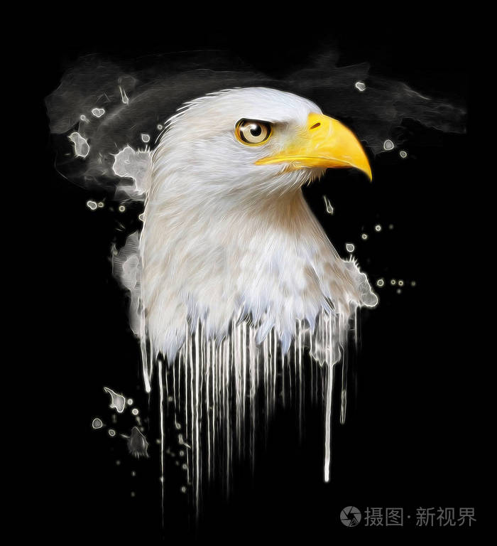 白色在黑色背景上的鹰