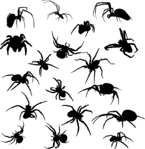十八个蜘蛛剪影