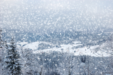 美丽的冬天风景与雪覆盖的树木