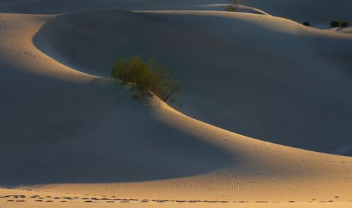 细轮廓的沙丘
