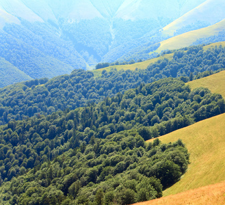 夏季多雾山风景