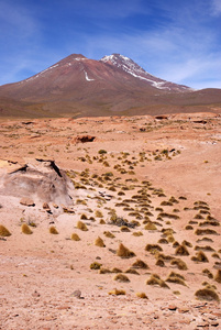 爱德华多  avaroa 安第斯野生动物国家保护区玻利维亚