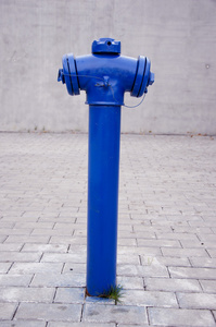 蓝色城市消火栓