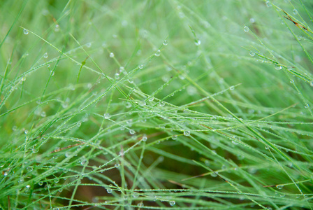 天然水滴