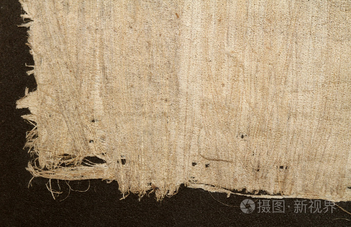 纹理的纸莎草纸
