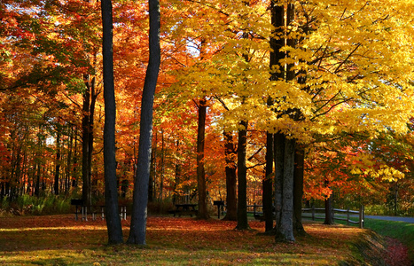 密歇根州秋天风景