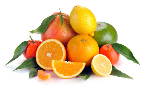 柑橘果实用叶子一套图片