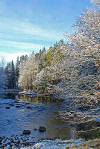 在冬天的河
