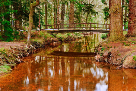 桥梁在流中充满活力的冬天秋天秋天森林景观意蕴