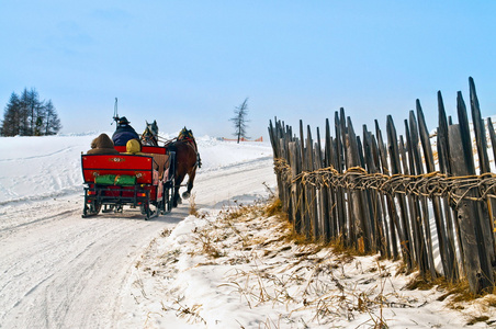 马爬犁冬天风景在行动中