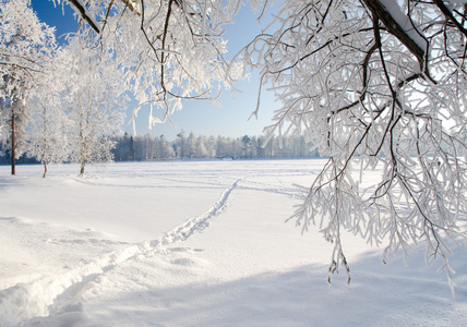 冬季公园在雪中