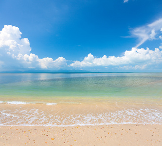 海滩和热带海